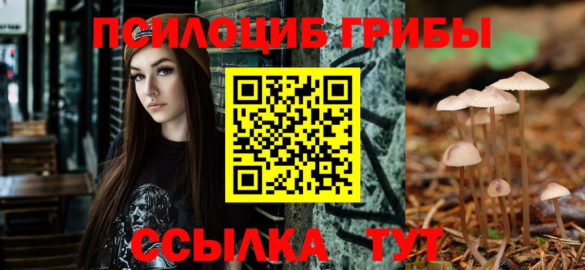 Электросталь  Галлюциногенные грибы MAGIC MUSHROOMS  Псилоцибиновые грибы Psilocybe  Вход с VPN 